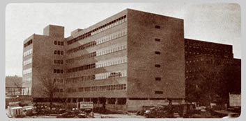 The University Main Building